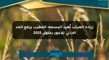 زيادة المرتب تُعيد البسمة: المغرب يرفع الحد الأدنى للأجور بحلول 2025